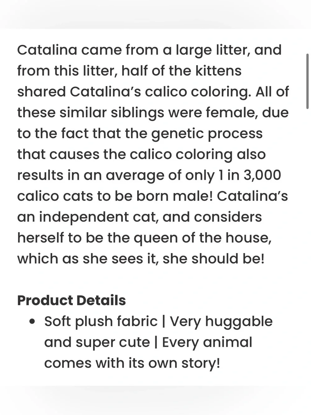 Catalina The Calico Cat 14”